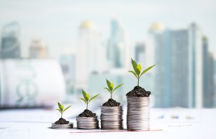 The Best Online Investment Courses Available: Financial Mastery