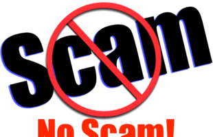 How to Avoid Forex Scams