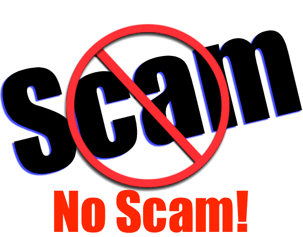 How to Avoid Forex Scams
