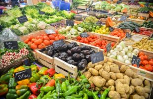 The rise of Grocery E-commerce software: Food retailers and Tech giants are joining forces