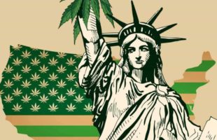 The Status of Cannabis Legalization in the United States
