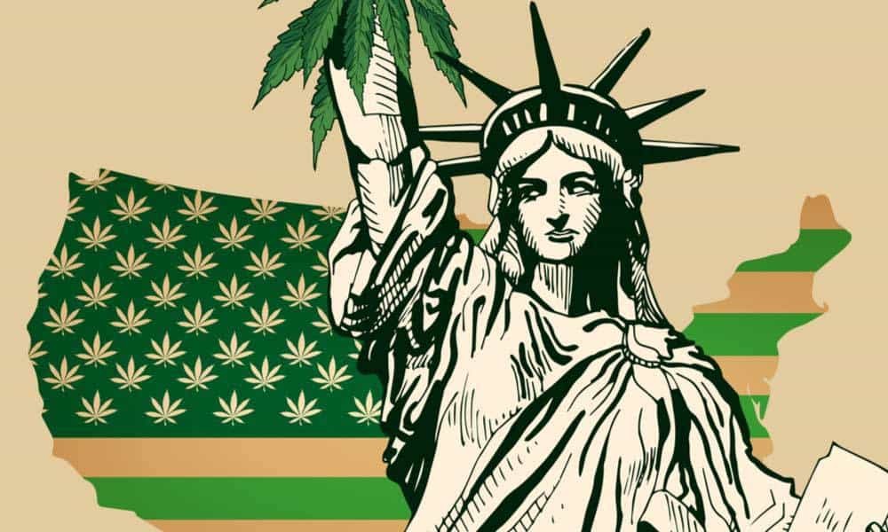 The Status of Cannabis Legalization in the United States