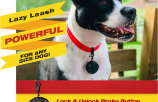 Lazy Leash!