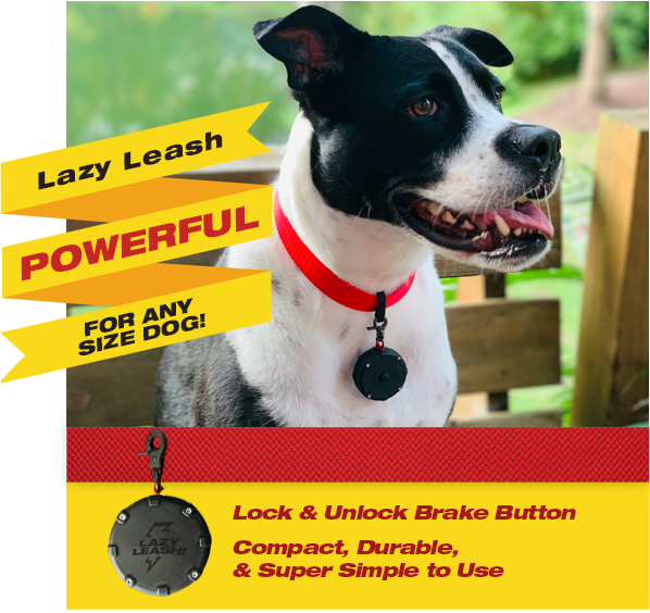 Lazy Leash!