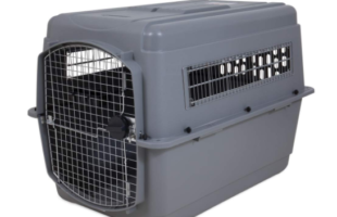 Is Your Canine Extremely Attached To You? Get The Best Dog Crate For Separation Anxiety