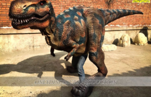 Realistic Dinosaur Costume is The Best choice You Can Make Today!