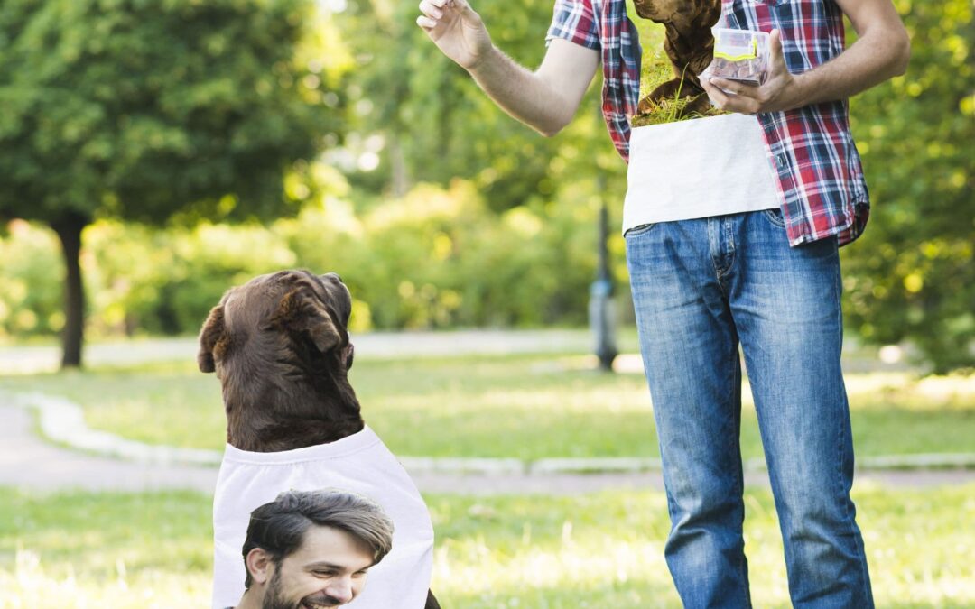 Matching  Owner and Dog T-shirts