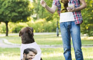 Matching  Owner and Dog T-shirts