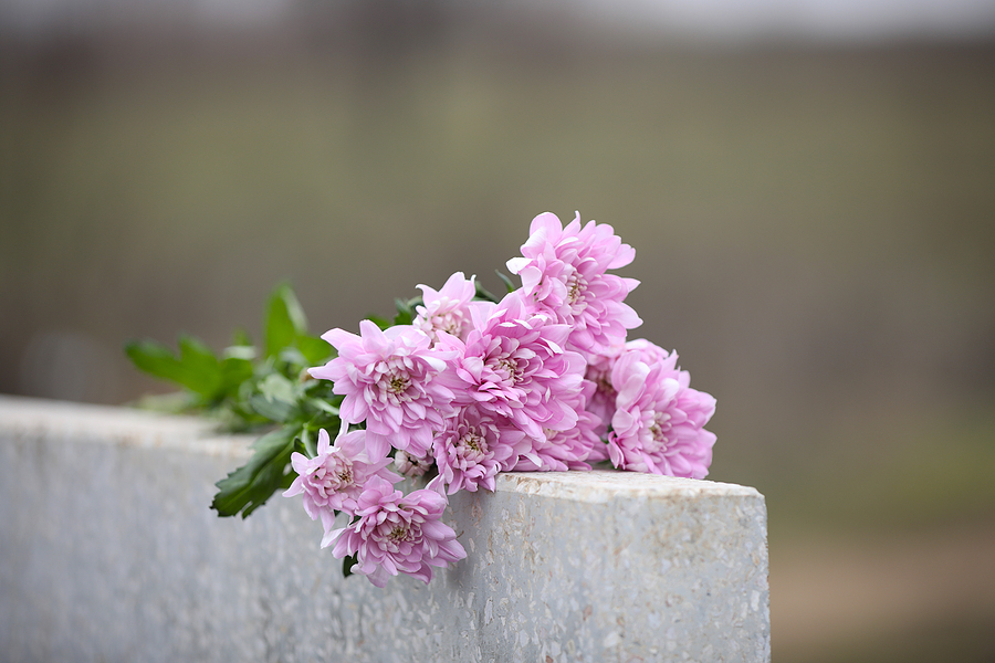 What is the meaning of Burial insurance for seniors and how does it work? Chrysanthemum flowers on light grey granite tombstone outdoors. Funeral ceremony