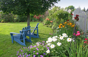 Gardening tools you should own for beautiful backyard