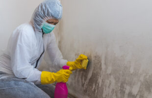 What are the benefits of painting your house?