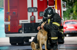 This Dog Rescue By Hope For Paws Will Make You Feel Feelings