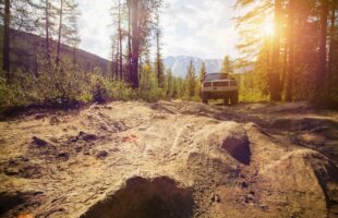 The Large List: Why Bigger Cars Are the Better Choice