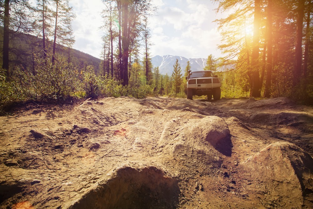 The Large List: Why Bigger Cars Are the Better Choice