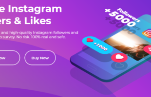 Ultimate Tips to Get Unlimited Free Instagram Followers