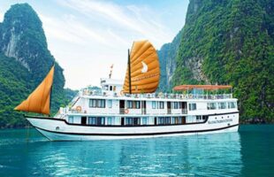 Cruises In Halong Bay