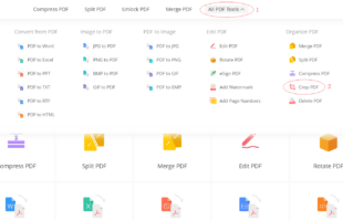 The Best Online Way to Crop PDF Freely