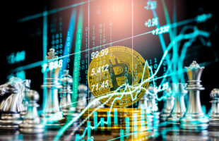 The Bitcoin Safety Debate: Is It Worth the Risk?