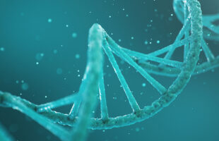 How you can uncover your incredible history with DNA testing