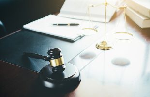 Damage Lawsuits in Seattle That Start With a Fallen Tree
