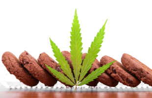 Wellness Dispensary Benefits: Guidance, Privacy, and Care
