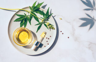 How To Choose The Correct CBD Vape Oil For Yourself?
