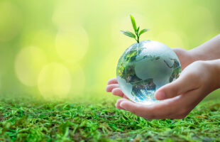 6 Interesting Facts About Sustainable Living That Will Impress You