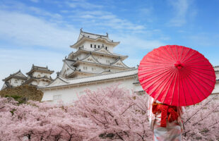 5 reasons why Japan is a country that is definitely worth a visit