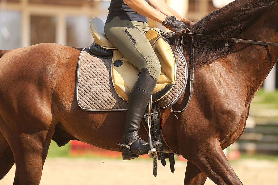 Must-Have Equestrian Essentials for Your Winter Riding Lessons