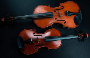 Classical Rock: Skull Violin