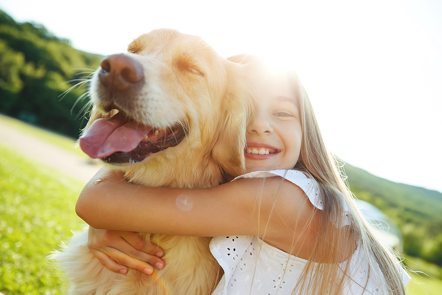 How To Keep Your Dog Healthy