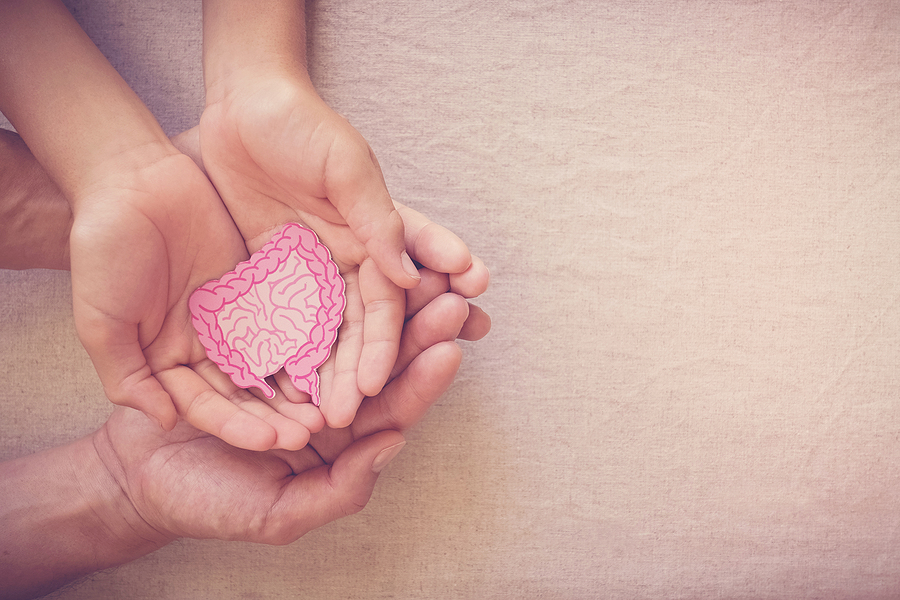 Adult And Child Hands Holding Intestine Shape, Healthy Bowel Deg