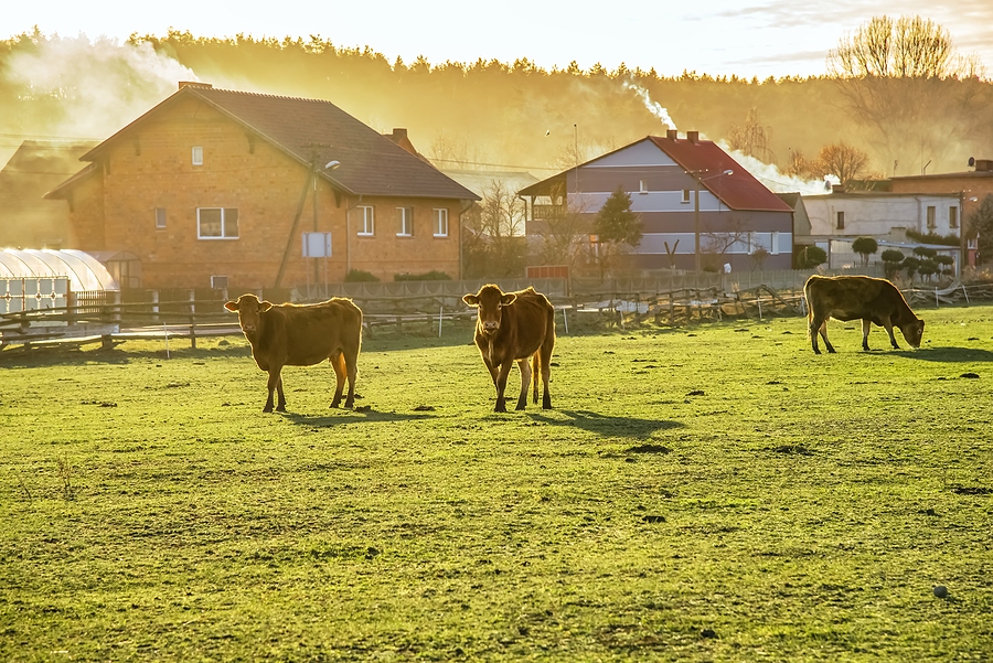 Things Every Kentucky Livestock Owner Should Do to Protect the Neighborhood