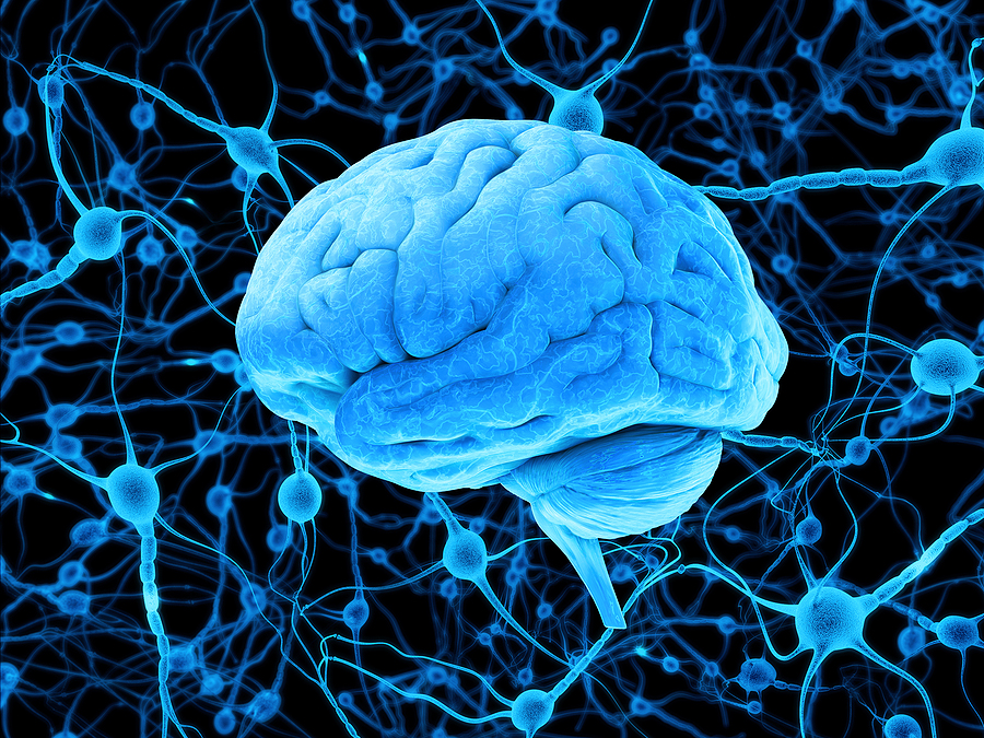 A Better Understanding of How Brain Sensors Work Digital Illustration Of Human Brain, Blue Brain And Neurons, Act