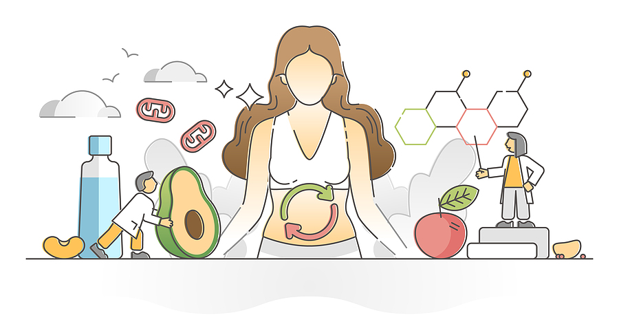Why a Slow Digestive System Could Be Slowing You Down