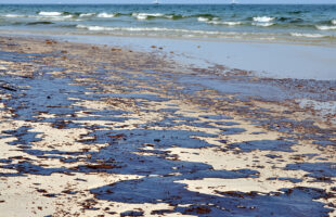 Think Oil Spills Are Only Bad For Seas? Read This To Know How They Impact Human Life
