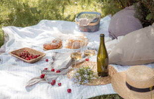 Features to consider before choosing a picnic basket