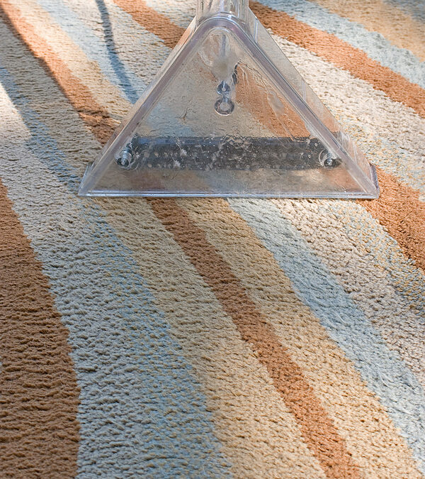 Why You Should Get Your Carpets Cleaned By Professionals In The Winter Season