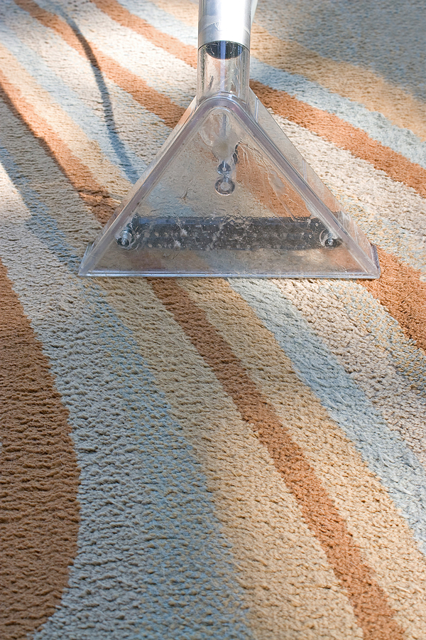 Why You Should Get Your Carpets Cleaned By Professionals In The Winter Season A carpet cleaner in action on a contemporary rug.