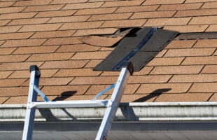 Roof Repair: Why Hire Professionals & How To Choose Them