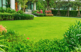 Top Innovative Lawn Care Tools for the Modern Gardener