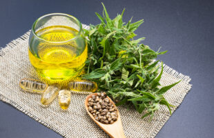 Indoor CBD Flower vs. Outdoor CBD Flower: Which is Better
