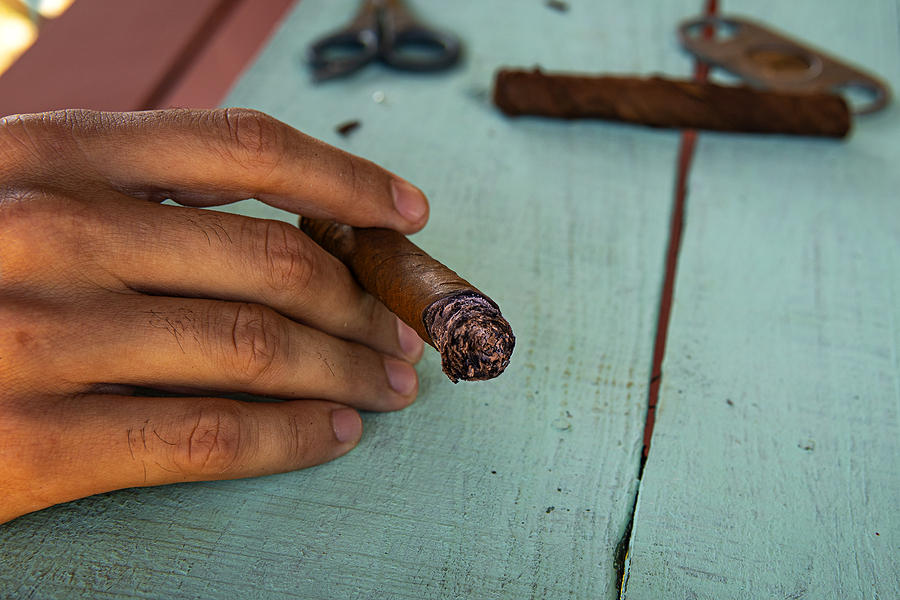 Cigars 101 – The Know-Hows About Humidity Man Holding Cigar And Tobacco Leaves. Traditional Process Of Mak