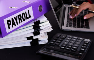 Options of Company Payroll Processing in UAE