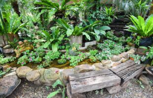 Small Space For a Garden? A Tiny Pond Will Do a Job!