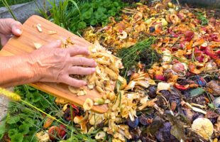 Genius Garden Hacks to Get the Outdoors You’ve Always Wanted…