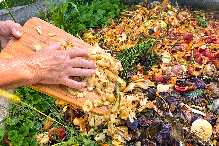 Genius Garden Hacks to Get the Outdoors You’ve Always Wanted…