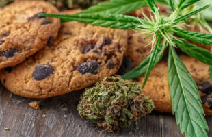 5 Benefits of Using Cannabis to Help With Your Mental Health Treatment