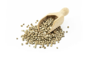 The Latest Advancements in Seed Technology