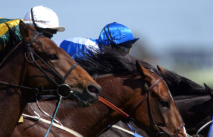 Seven horses that have won the most prize money